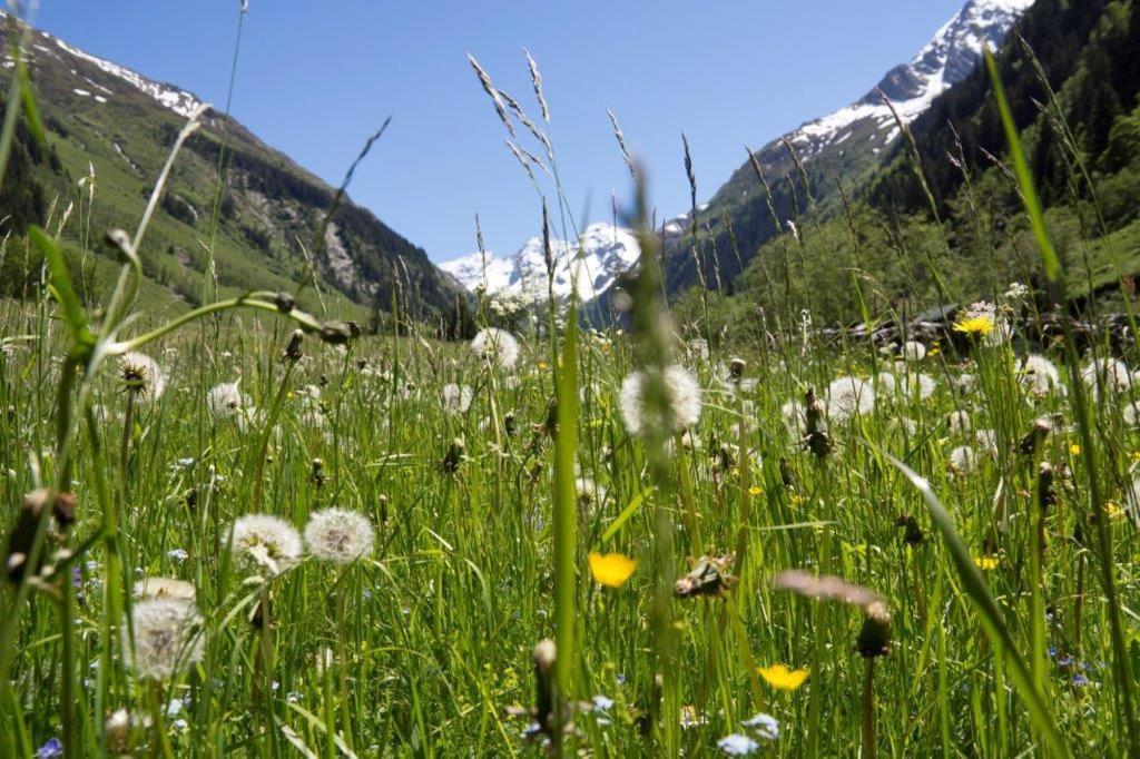 Garni Roesslhof Hotel Hollersbach im Pinzgau Exterior foto